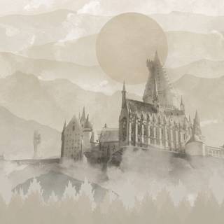 Harry Potter illustration wallpaper