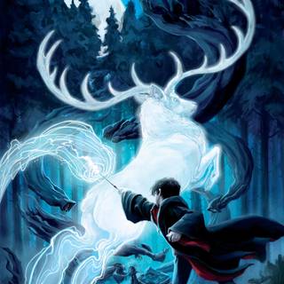 Harry Potter illustration wallpaper