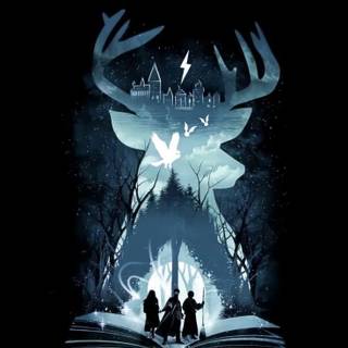 Harry Potter illustration wallpaper