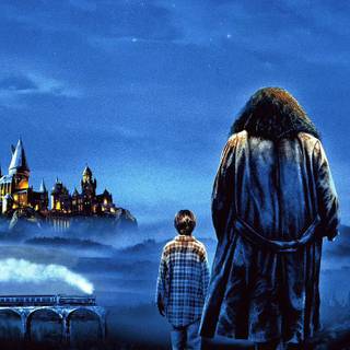 Harry Potter illustration wallpaper