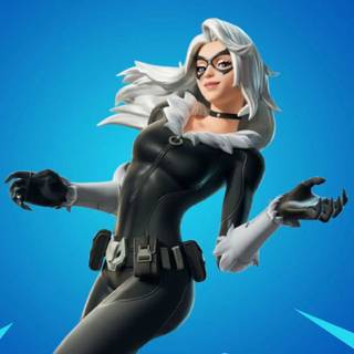 Black Cat Fortnite wallpaper