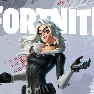 Black Cat Fortnite wallpaper