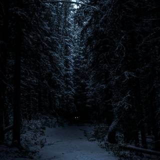 Winter dark landscape wallpaper