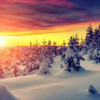 Winter season PC wallpaper