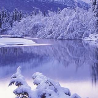 1920x1080 nature winter wallpaper