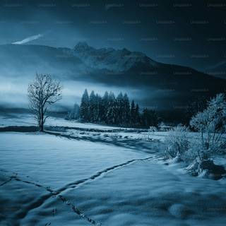 Winter dark landscape wallpaper