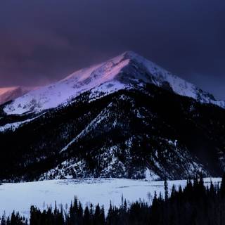 Winter dark landscape wallpaper