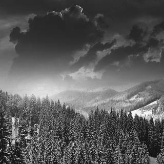 Winter dark landscape wallpaper