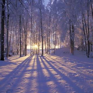 Laptop cute winter wallpaper