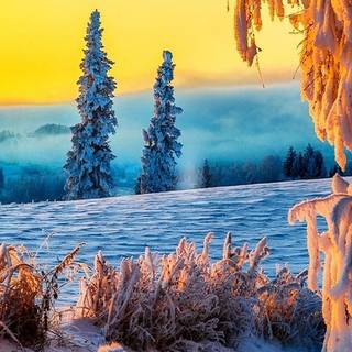 Teal landscape winter wallpaper