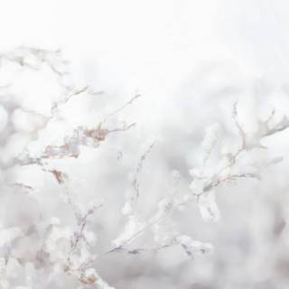 Laptop cute winter wallpaper