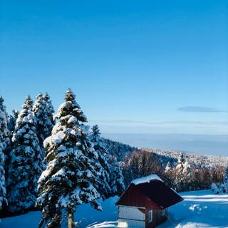 Winter cabin iPhone wallpaper