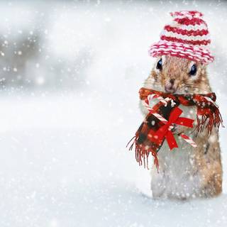 Laptop cute winter wallpaper