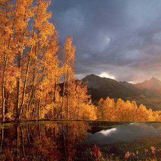 1920x1080 autumn landscapes wallpaper