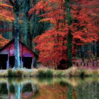Autumn cabin desktop wallpaper