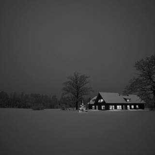 Winter dark landscape wallpaper