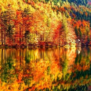 1920x1200 autumn wallpaper