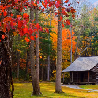 Autumn cabin desktop wallpaper