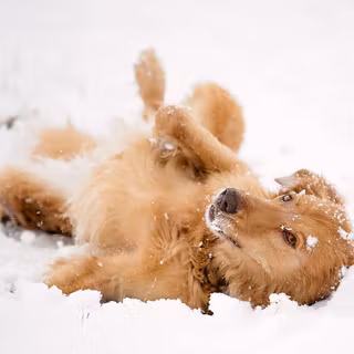 Laptop cute winter wallpaper