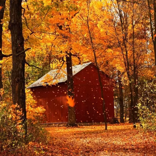 Autumn cabin desktop wallpaper