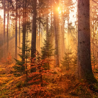 Germany nature wallpaper