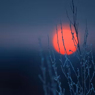 Winter dark landscape wallpaper