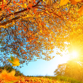 1920x1080 autumn landscapes wallpaper