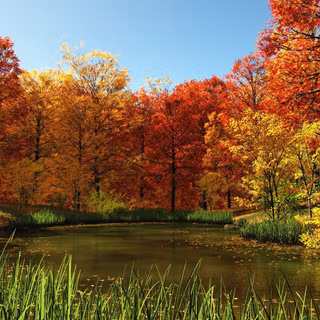 1920x1080 autumn landscapes wallpaper