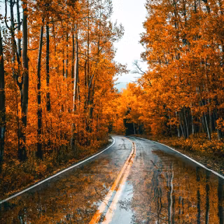 Autumn cabin desktop wallpaper