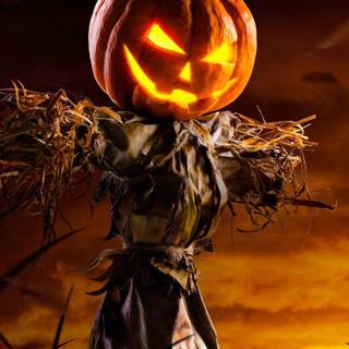 Aesthetic scarecrow wallpaper