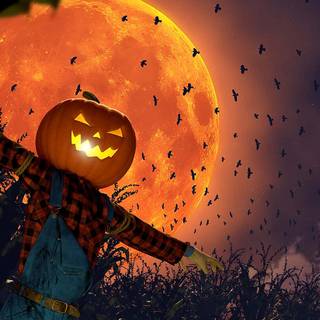 Aesthetic scarecrow wallpaper