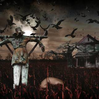 Aesthetic scarecrow wallpaper