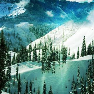 Ski racing wallpaper