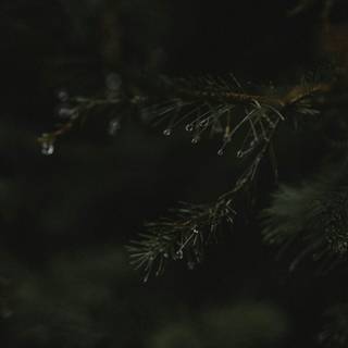 Black aesthetic mobile wallpaper