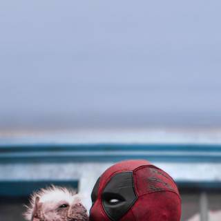 Deadpool and his dog wallpaper