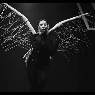 Lady Gaga PC wallpaper