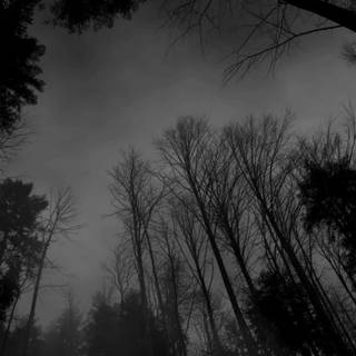 Gothic laptop wallpaper