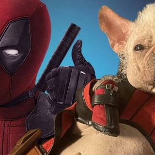 Deadpool and his dog wallpaper