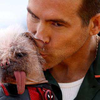 Deadpool and his dog wallpaper