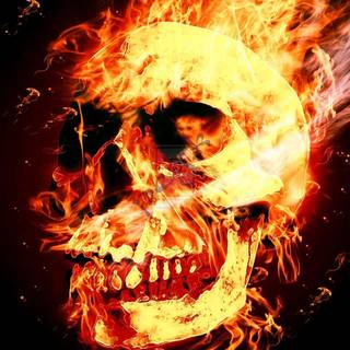 Yellow skull wallpaper