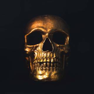 Yellow skull wallpaper