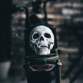 Skull biker wallpaper