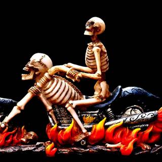 Skull biker wallpaper