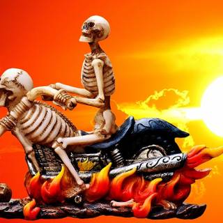 Skull biker wallpaper