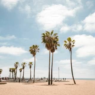 West Hollywood wallpaper