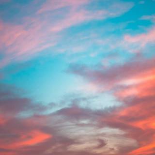 West Hollywood wallpaper