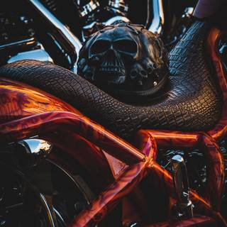 Skull biker wallpaper