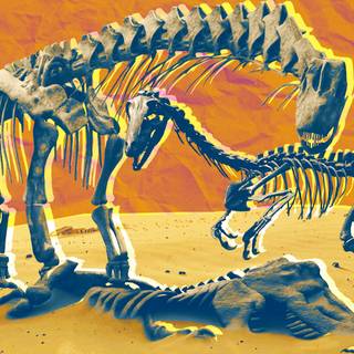 Dinosaur fossil wallpaper