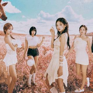 Sugarcoat NATTY wallpaper