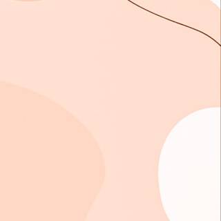 Minimalist circles and lines neutral tones wallpaper